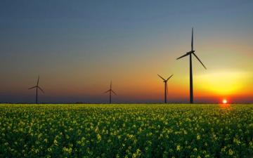 HD Windmill Wallpaper