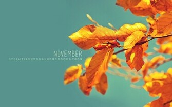 The Week November Goodness Joshua Schnell Friday 9th