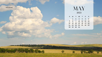 May Calendar Wallpaper HD Net