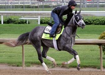 Kentucky Derby Odds Image HD