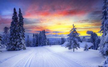 Winter Trees Snowy Road Sunset Wallpaper