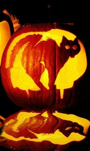 Live Wallpaper 3d Black Cat HD Android