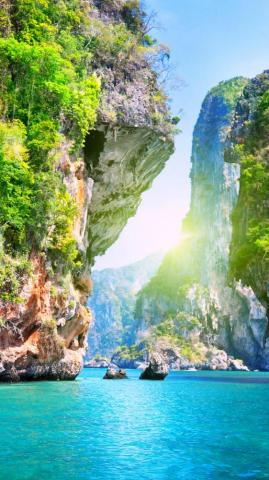Portrait Wallpaper 4k Nature HD
