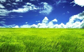 Megapost De Wallpaper