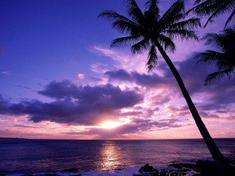 Paradise Sunset Wallpaper On For Your