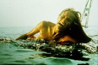 Explore The Collection Jaws Movies Film