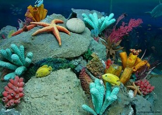 Sea Life