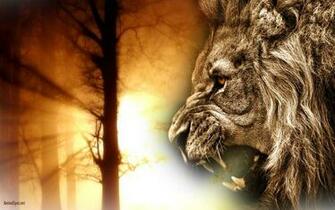 Lion Face Wallpaper