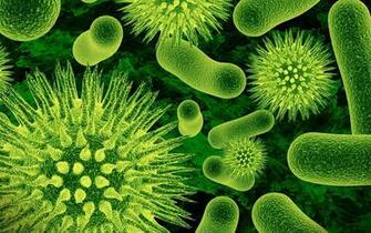 Cell Biology Wallpaper Image