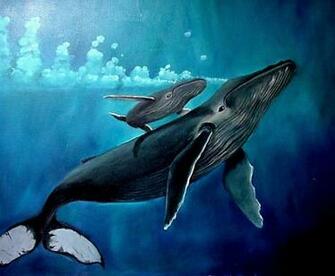 Whale Wallpaper