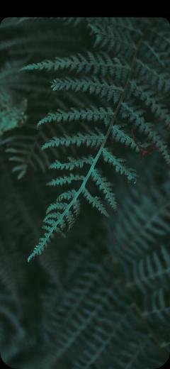 Notch Less Wallpaper Perfect For Your iPhone X Ultralinx