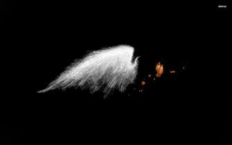 Angel Wings Wallpaper HD