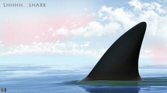 Hammerhead Shark Wallpaper HD