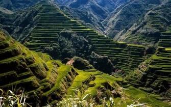 Hq Ancient Rice Terraces Philippines Wallpaper