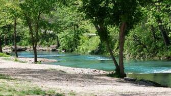 Trout Stream