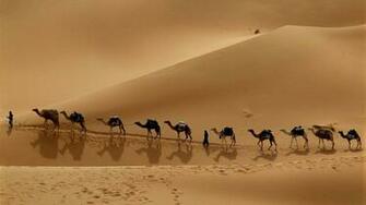 Desert HD Wallpaper High Quality