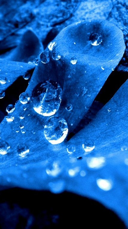 Samsung Nexus Wallpaper Themes Google