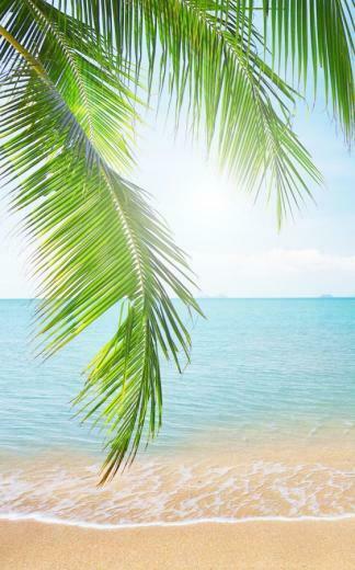 Tropical Beach Live Wallpaper On