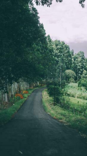 Back To Nature iPhone Wallpaper Collection Preppy