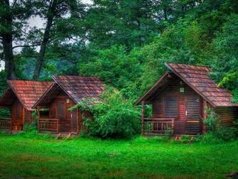 Forest Cabin