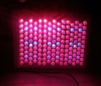 Home 144w Led Plant Grow Light Clxgl144 Rb
