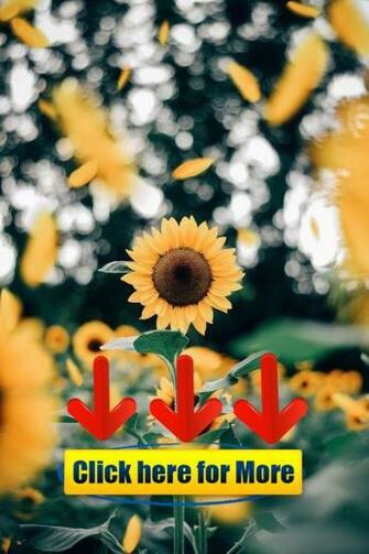 Farmhouse Touches Wallpaper iPhonewallpaper Flowers