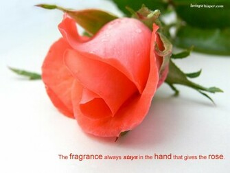 Love Wallpaper Romantic Flower