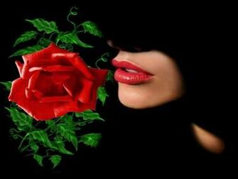 Rose Love Wallpaper Beautiful Flowers
