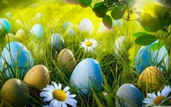 Easter Egg Hunt 4k HD Desktop Wallpaper For Ultra Tv