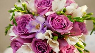 Very Beautiful Flowers Wallpaper Pictures