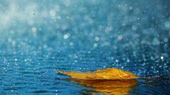 Nature Wallpaper