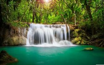 Rainforest Waterfall 4k HD Desktop Wallpaper For Ultra Tv