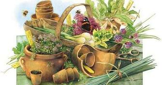Marjolein Bastin Nature Journal And Wallpaper