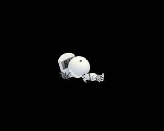 Tweety Wallpaper Screensavers Play
