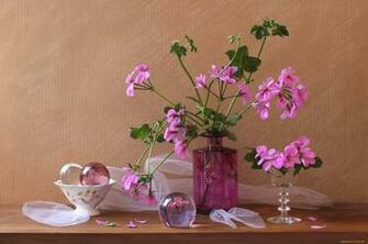 Still Life Full HD Wallpaper And Background