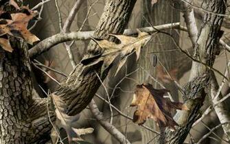 Realtree Ap Desktop Wallpaper Camo Image