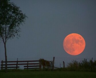 Of Harvest Moon Flash Jigsaw Games Puzzle The Month Wallpaper