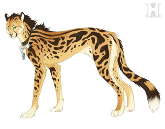King Cheetah Wallpaper Design By