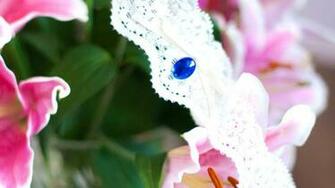 Flowers White Wedding Garter HD Nature Image Wallpaper Of