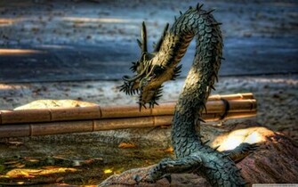 3d Wallpaper Dragon HD Res