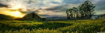Beautiful Rape Field 4k HD Desktop Wallpaper For Ultra Tv