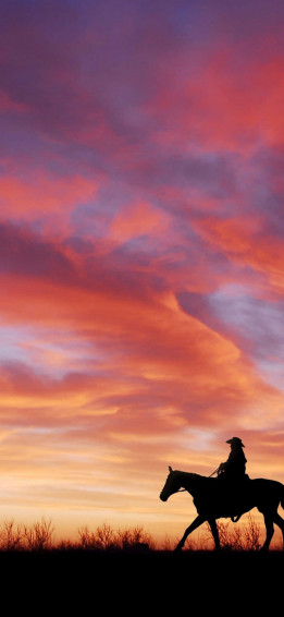 The Hub Of West Cowboy iPhone Wallpaper
