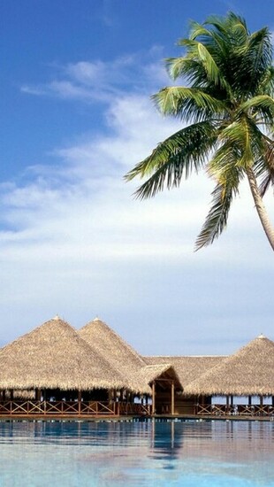 Samoan Wallpaper Hawaii Dermatology Picture