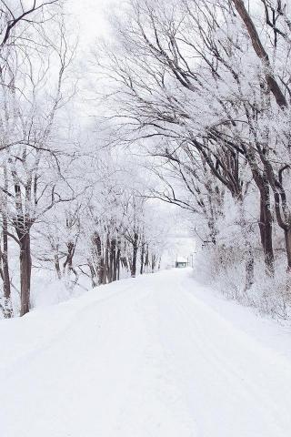 Winter Road Romantic Nature Snow White iPhone 4s