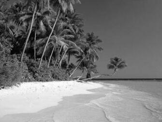 Black And White Wallpaper Beach Landscape HD