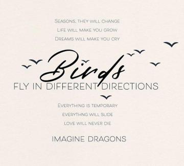 Birds Imagine Dragons Discovered By Isabella