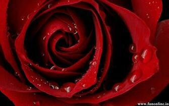 Pics Photos Cool Love Wallpaper