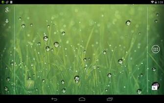 Rain Live Wallpaper Screenshot