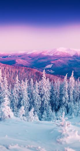 Omg I Lovveee This So Much In Landscape Wallpaper Winter