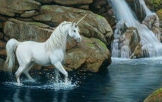 Horse Wallpaper HD 1080p Desktop Background For